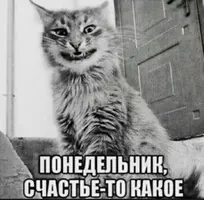 aeec9c63156a0f4a80f49818fa88f476.webp