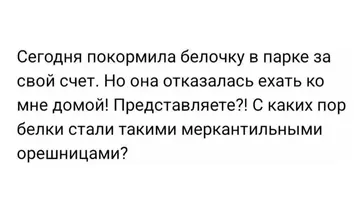 1000043623.webp