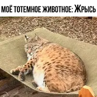 104_131225_629.webp