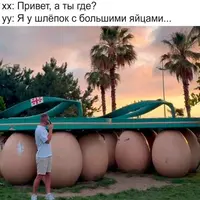 29_221437_026.webp