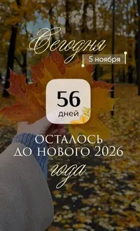 IMG_20251105_104459.webp
