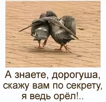IMG_6138.webp