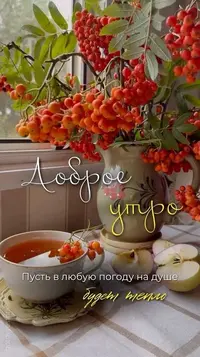 014_213226_907.webp