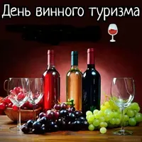 1fd809af.webp