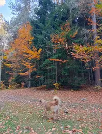 E251109-14os.webp