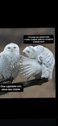 Screenshot_20251107_125100_Gallery.webp