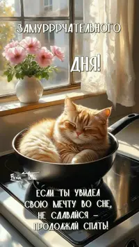 yiVAok94h44.webp