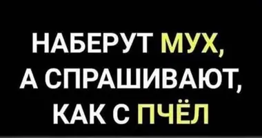 e081382234a3469fe9df08c8b65fd007.webp