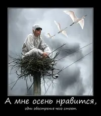 e80f71b331cf304b0ca2e94ac20c18ce (1).webp