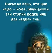 d7f8a1c8923bd56c92a12666cc54290f.webp