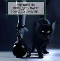 f17b9309-46d7-47e4-9384-6580f279142f.webp f17b9309-46d7-47e4-9384-6580f279142f.webp