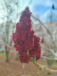 IMG_20251115_160040.webp