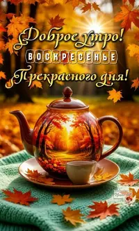 51114_114059_223.webp