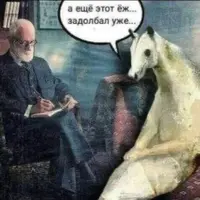 1763498434058.webp