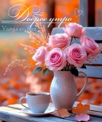 imgonline-com-ua-Resize-iJtafTG3K80PK.webp
