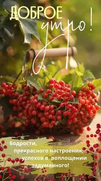 21_182427_887.webp