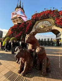 IMG_20251120_183509.webp