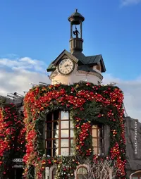 IMG_20251120_183453.webp