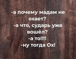 1000048937.webp