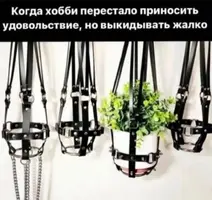 1000306298.webp