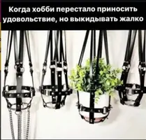 IMG_9860.webp