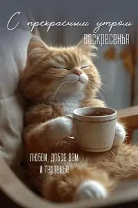 e51d626a585c521838d78179761ca3cc.webp