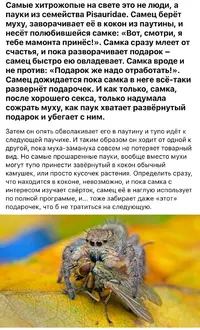 IMG_8787.webp