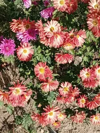 imgonline-com-ua-Resize-ytod6aeTS3DPxL.webp