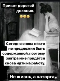 IMG_9880.webp