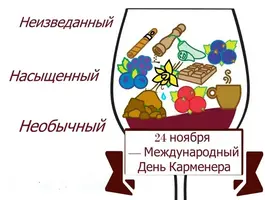 bGyCIp0bqOE.webp