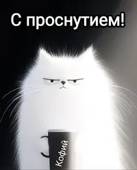 6eca946f6ffeb519e4c541bc86c54230.webp