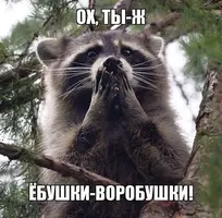 c81489b5926852e4c46d74b7d6b38b46.webp
