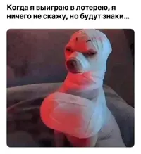 917d3952d7e1b6318b0ea6f7edb34f5c.webp