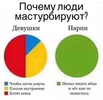 1725477376185876048.webp
