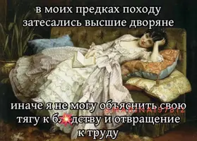 IMG_0031.webp