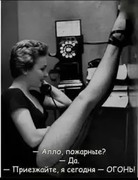1000157351.webp