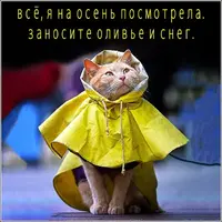 14923e-00.webp