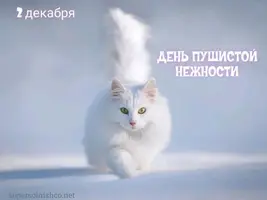3029238617.webp