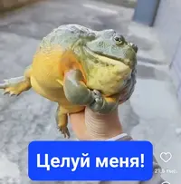 1000157906.webp