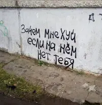 1000158202.webp