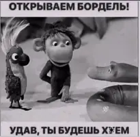 1000158201.webp