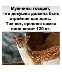 1000050639.webp