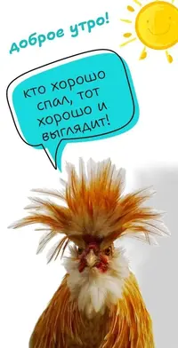 37ee51d8ad711a66fc1511b44c9d5a6d.webp