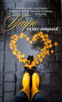 109_151412_575.webp
