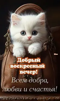 207_125717_038.webp