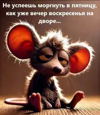 IMG_20251207_211440.webp