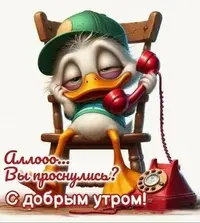 i.webp