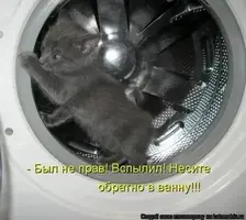 i.webp