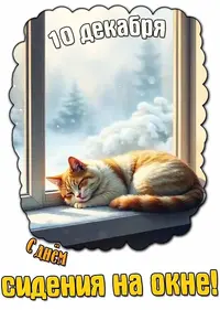_03.webp