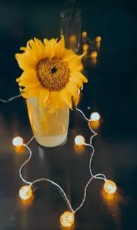 E251211-14os.webp